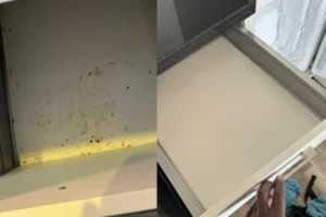 Untitled-design-2-qn6u4zd6lqu8bh6y658sm49vj3w8xdqcdylolwsc3c