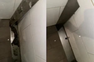 Untitled-design-5-qn6u5eeln3eth8l3qbqtq0h919u4cje1s11gac61bs