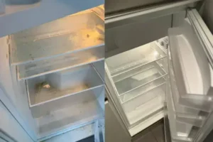 Untitled-design-6-qn6u5k1ms3mjewcwte6l4z20ll2bmq0fssyd5zxoag